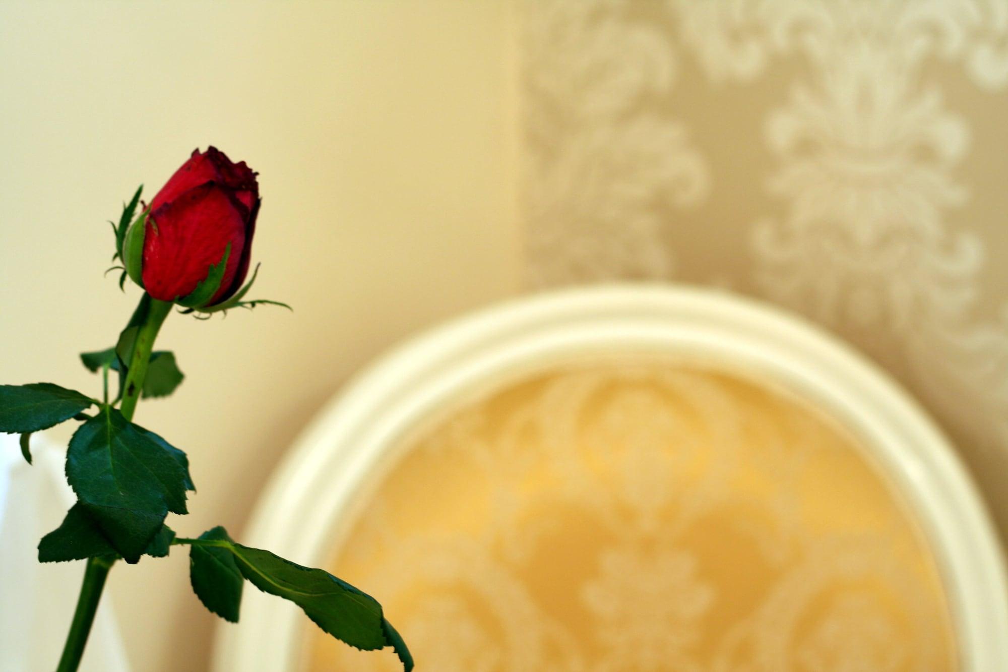 Banica Apartments & Rooms Сплит Екстериор снимка